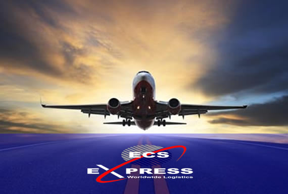 ecs express kargo